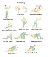 Stretch Therapy/ Muscle Recovery Treatment ( 1 hour Single Session)